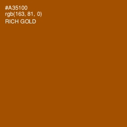 #A35100 - Rich Gold Color Image